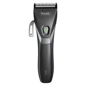 Wahl Profe …